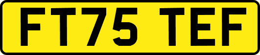 FT75TEF