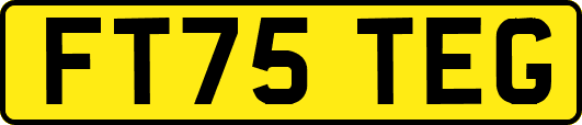 FT75TEG