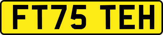 FT75TEH