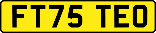 FT75TEO