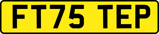 FT75TEP