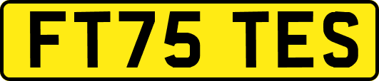 FT75TES