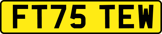 FT75TEW