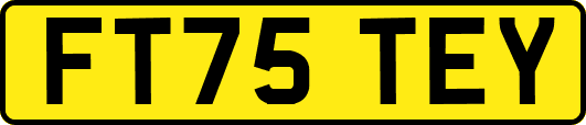 FT75TEY