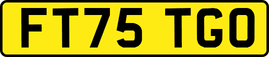 FT75TGO