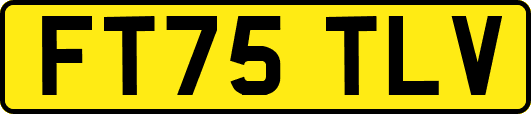 FT75TLV