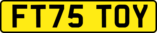 FT75TOY