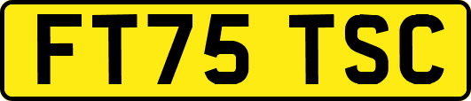 FT75TSC