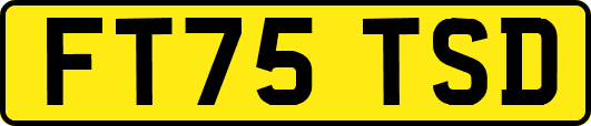 FT75TSD
