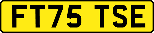 FT75TSE