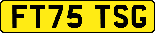 FT75TSG