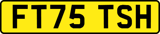 FT75TSH