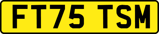 FT75TSM