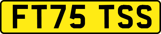 FT75TSS