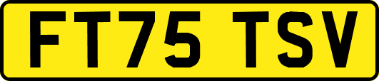 FT75TSV