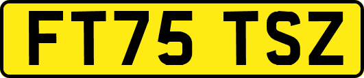 FT75TSZ