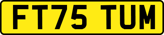 FT75TUM