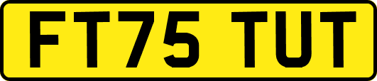 FT75TUT