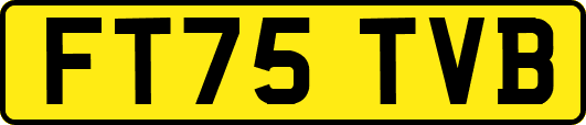 FT75TVB