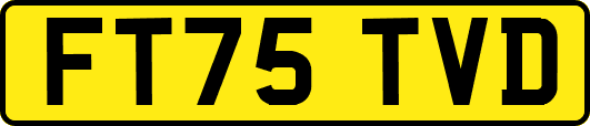 FT75TVD