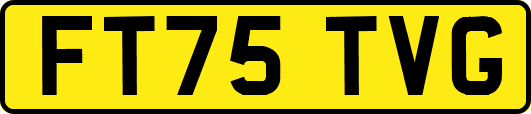 FT75TVG