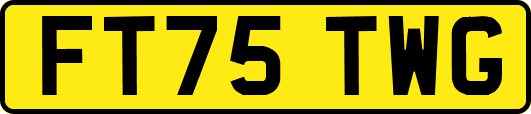 FT75TWG