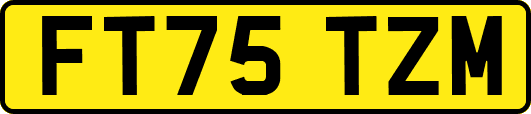 FT75TZM