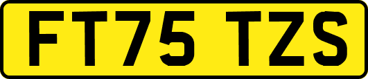 FT75TZS