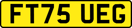 FT75UEG