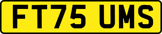 FT75UMS