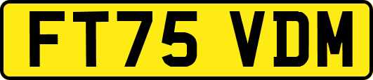 FT75VDM