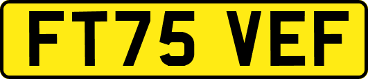 FT75VEF
