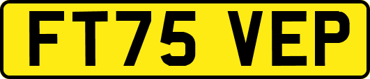 FT75VEP