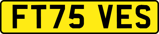 FT75VES