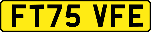 FT75VFE