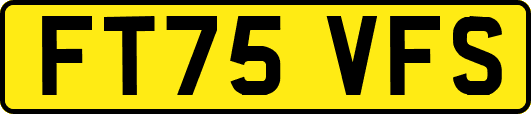 FT75VFS