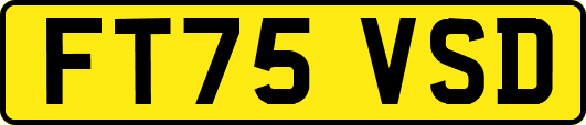 FT75VSD