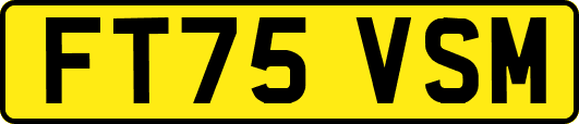 FT75VSM