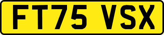 FT75VSX
