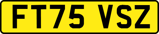 FT75VSZ