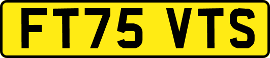 FT75VTS