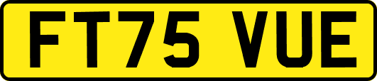 FT75VUE