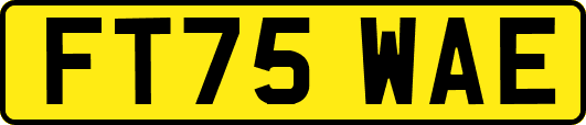 FT75WAE