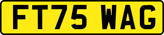 FT75WAG