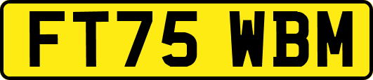 FT75WBM