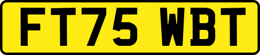 FT75WBT