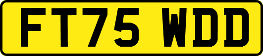 FT75WDD