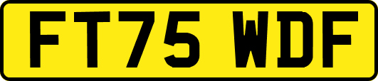 FT75WDF