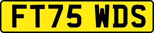 FT75WDS