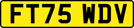 FT75WDV